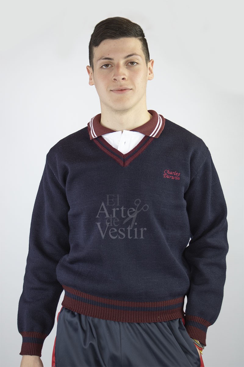 SWEATER AZUL V ML HOMBRE CHARLES DARWIN