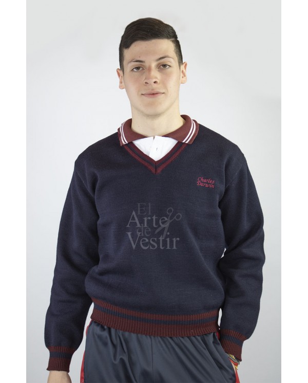 SWEATER AZUL V ML HOMBRE CHARLES DARWIN
