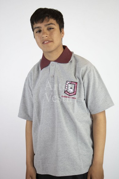 POLERA GRIS MC PIQUE HOMBRE POLITECNICO