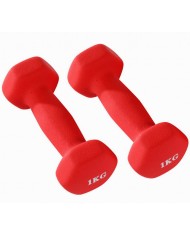 1 MANCUERNA 3KG MORADO