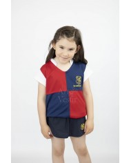 CAMISETA VOLLEYBALL BRITANICO