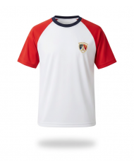 POLERON BUZO AZUL MUJER INSUCO